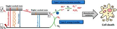 Upconversion rare Earths nanomaterials applied to photodynamic therapy and bioimaging